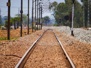 Railroad track amidst trees