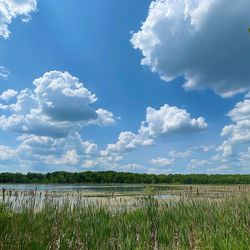 Scenic view of agricultural field against sky
