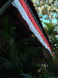 Low angle view of tree by building