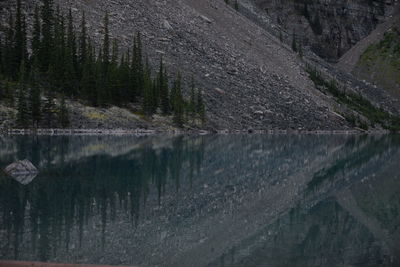 Reflection of trees in lake