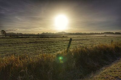 Scenic view of field against sky during sunset