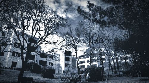 Houses in front of tree against sky