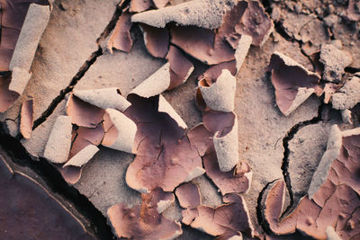 Full frame shot of peeled and cracked cement