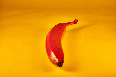 Close-up of orange fruit against yellow background