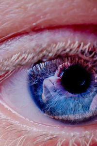 Macro shot of human eye