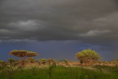 Scenic view of field against cloudy sky