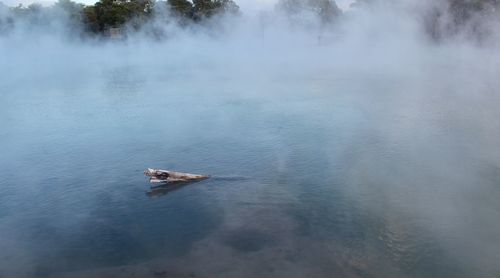 High angle view of duck swimming in lake