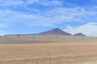 Scenic view of desert against sky