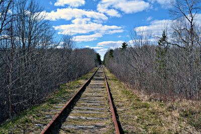 Railroad tracks amidst trees against sky