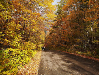 Road amidst trees during autumn