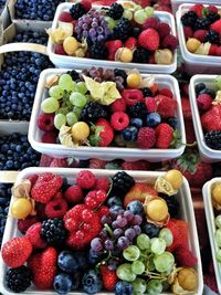 Variety of fruits for sale in market