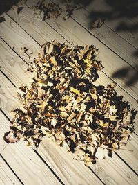 High angle view of dry leaf on table