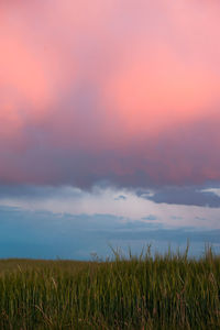 Scenic view of grassy field against cloudy sky