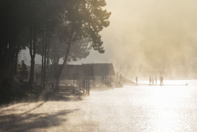 Holiday morning in the forrest  at pang ung maehongsorn thailand