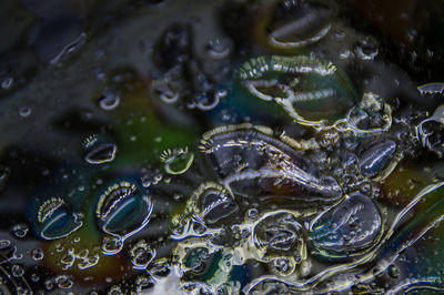 High angle view of bubbles in water