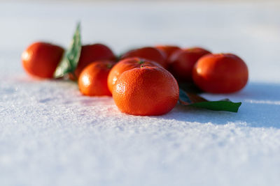 Tangerines in the snow