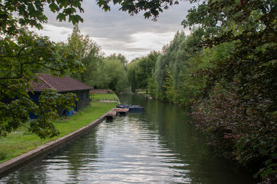 View of river with trees in background