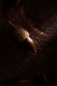 High angle view of leaf on table