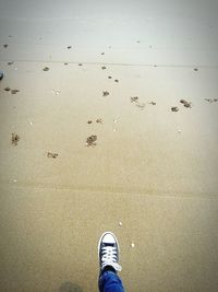 Low section of person standing on tiled floor