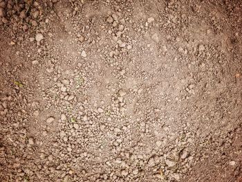 Full frame shot of weathered wall