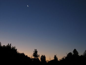 Low angle view of silhouette trees against clear blue sky