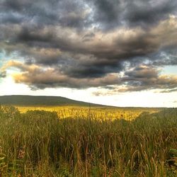 Scenic view of landscape against cloudy sky