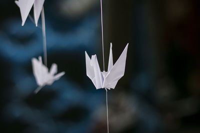Close-up of paper cranes hanging on strings