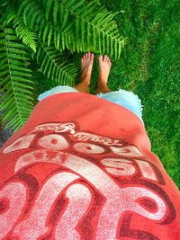 Man relaxing in garden