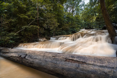 Scenic view of waterfall in forest