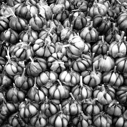 Full frame shot of onions for sale at market stall