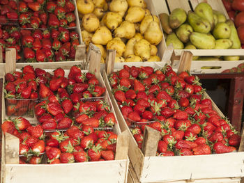 Fruits for sale at market stall