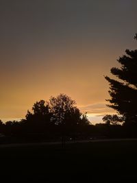 Silhouette trees on field against sky at sunset