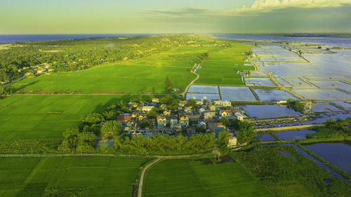 Scenic view of agricultural field