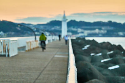 Rear view of man by sea against sky during sunset