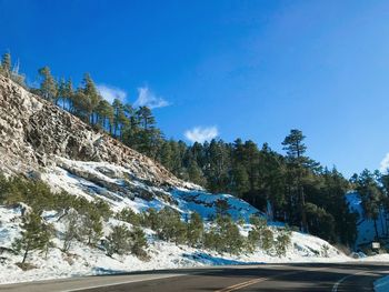 Road by trees against blue sky during winter