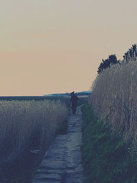 Rear view of person walking on footpath against sky