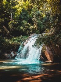 Scenic view of waterfall in forest