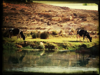 View of a pond