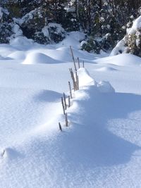 Scenic view of tree during winter