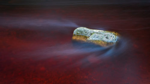 Close-up of rock in sea