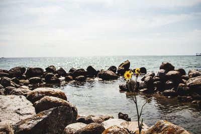 Rocks on beach against sky