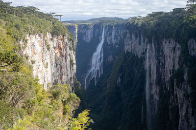 Scenic view of waterfall in forest