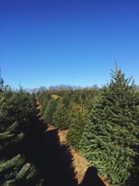 Scenic view of landscape against clear blue sky