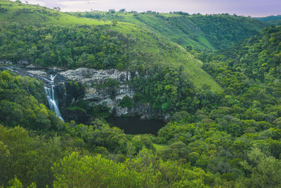 High angle view of trees on mountain