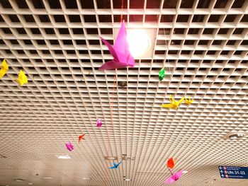 Multi colored flowers in store