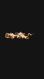 Close-up of bonfire against black background