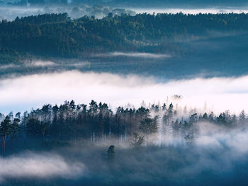 Panoramic shot of trees on land against sky