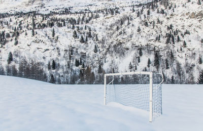 Snow covered land and trees on field