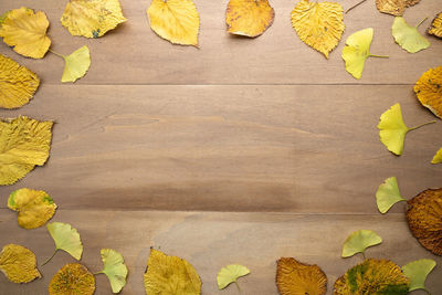 High angle view of autumn leaves on table