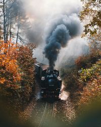 Train emitting smoke amidst trees during autumn